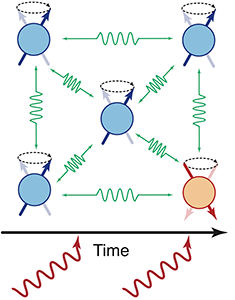 Spin dynamics of molecular qubit arrays