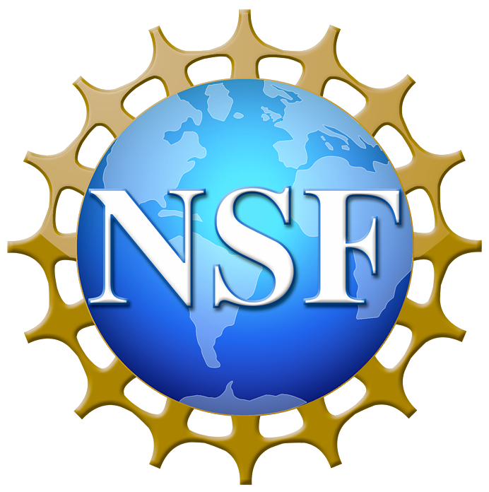 Seal for the NSF